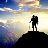 2pcs/lot of trekking poles, telescopic walking stick