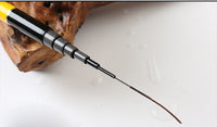 Yernea carbon light and telescopic fishing rod