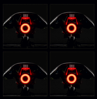 ROCKBROS Bicycle Smart Auto Brake Sensing Light IPx6 Waterproof LED Charging
