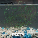 Angryfish 300m speckle invisible monofilament nylon fishing line